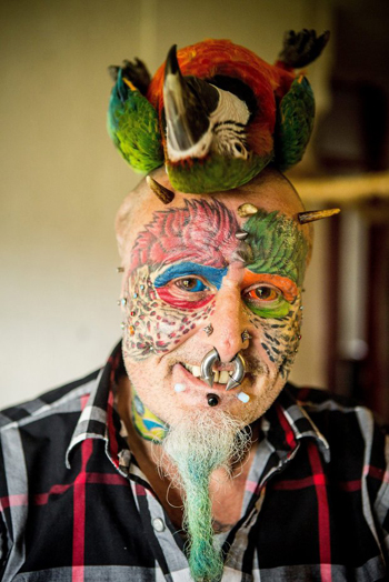 parrot 